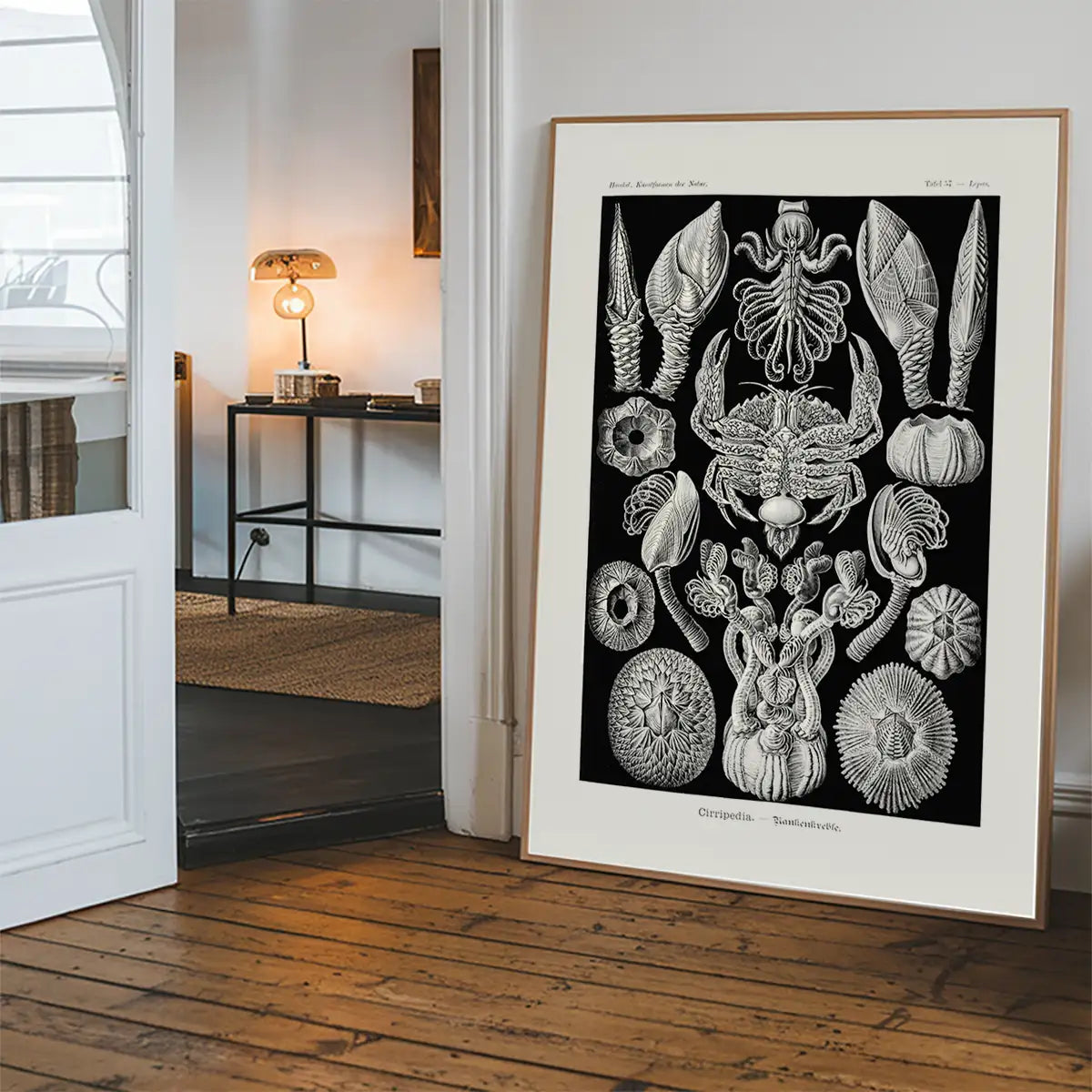 Barnacles Vintage Illustration Print