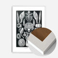 White Wood Frame