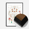 Black Wood Frame