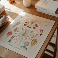 Copopod Crustaceans Illustration Print