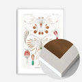 White Wood Frame