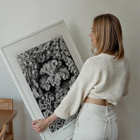 Corals Illustration Print