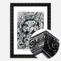 Black Ornate Frame
