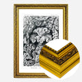 Gold Ornate Frame