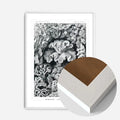 White Wood Frame
