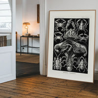 Crabs Black & White Illustration Print