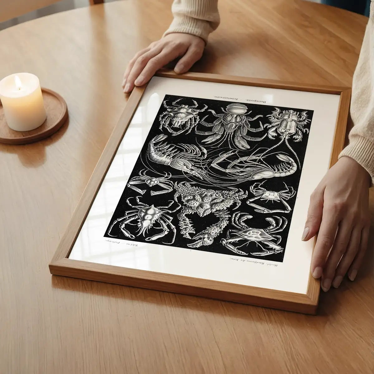 Crabs Black & White Illustration Print