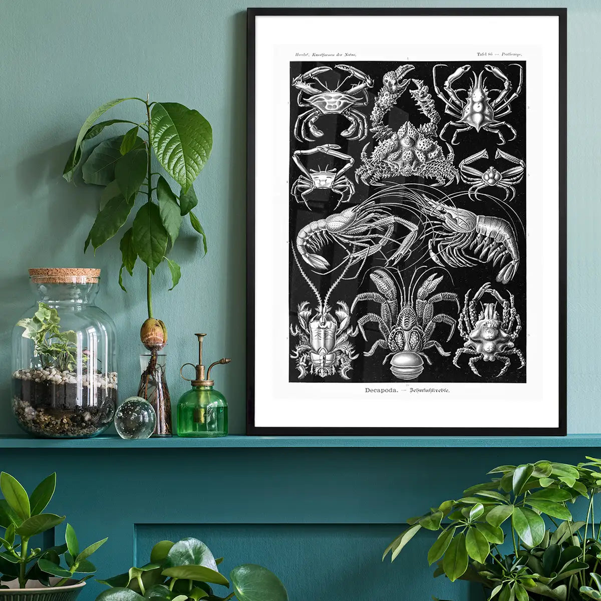 Crabs Black & White Illustration Print