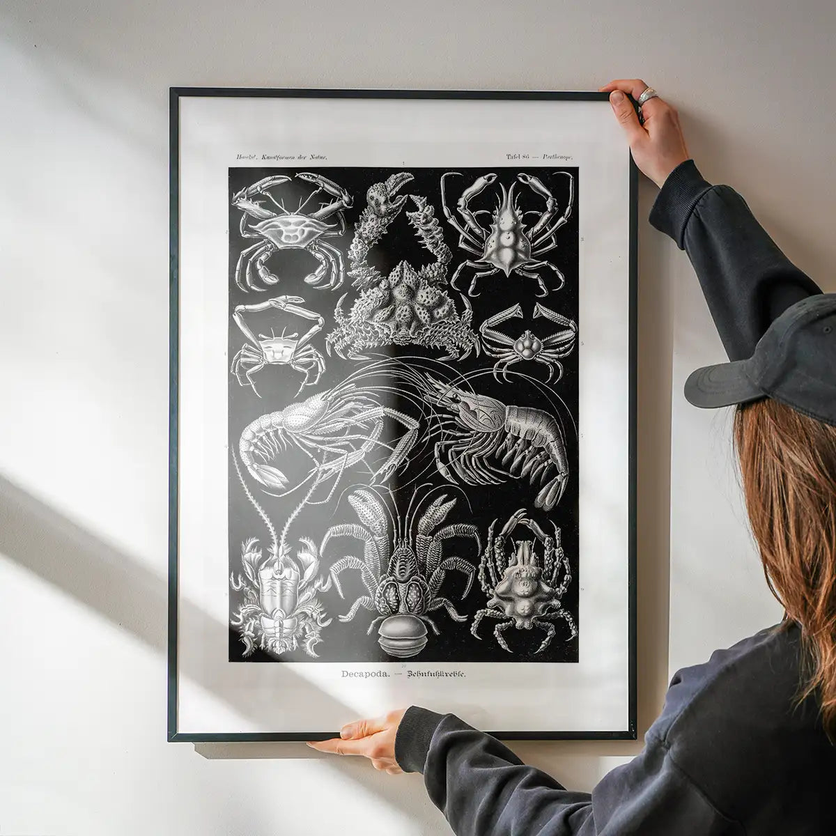 Crabs Black & White Illustration Print
