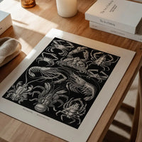 Crabs Black & White Illustration Print