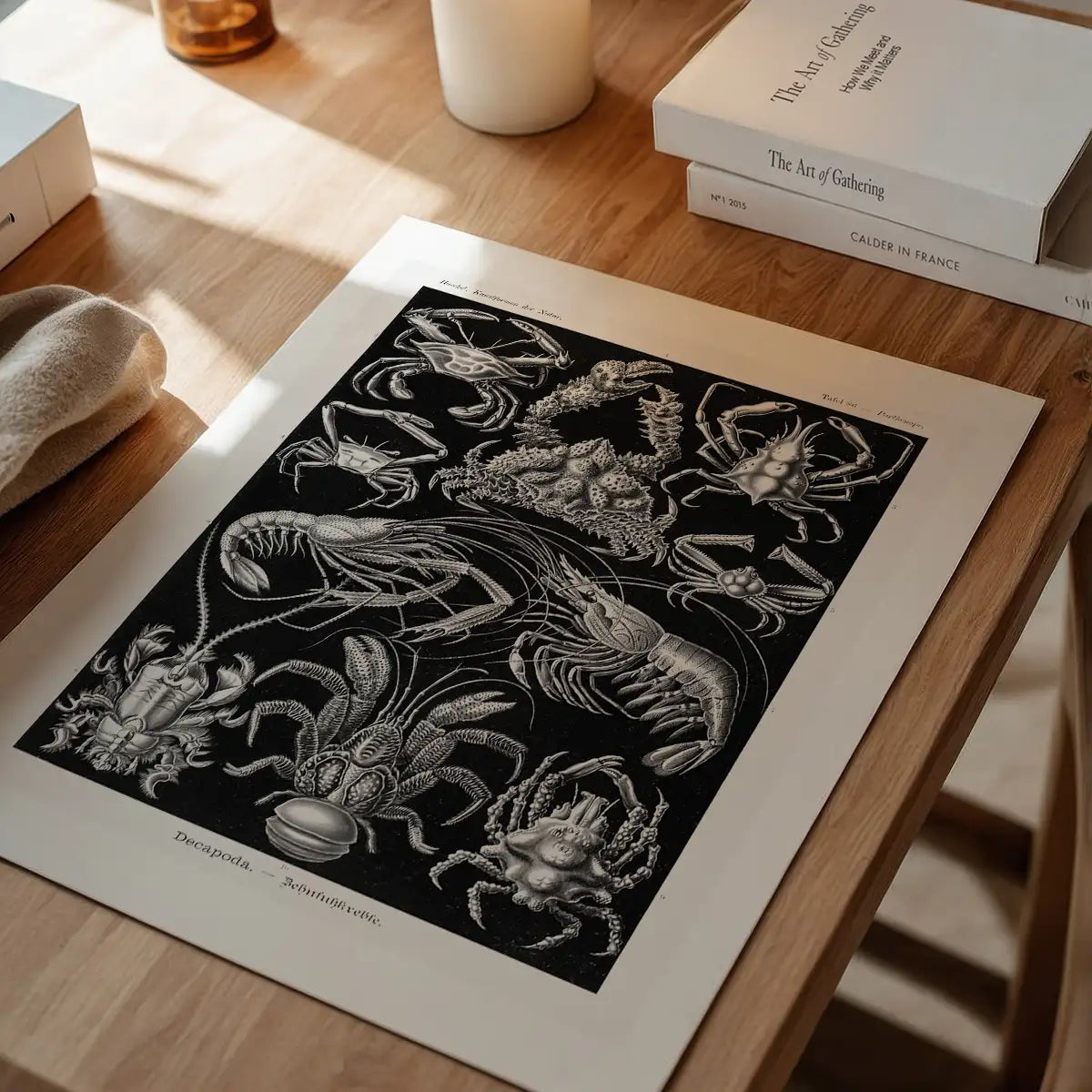 Crabs Black & White Illustration Print