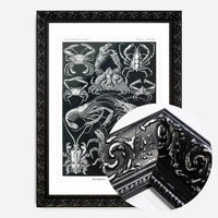 Crabs Black & White Illustration Print