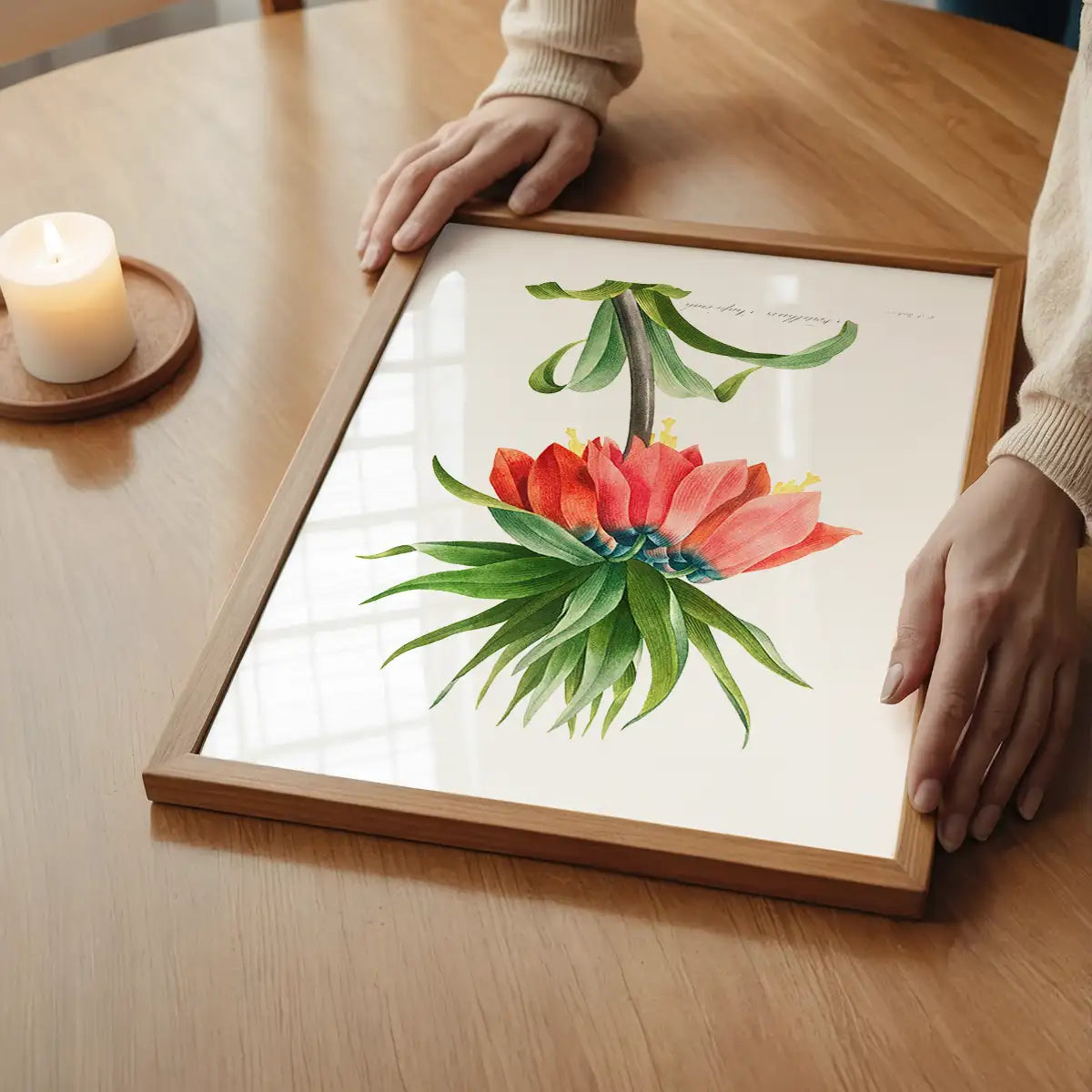 Crown Imperial Fritillary Flower Print