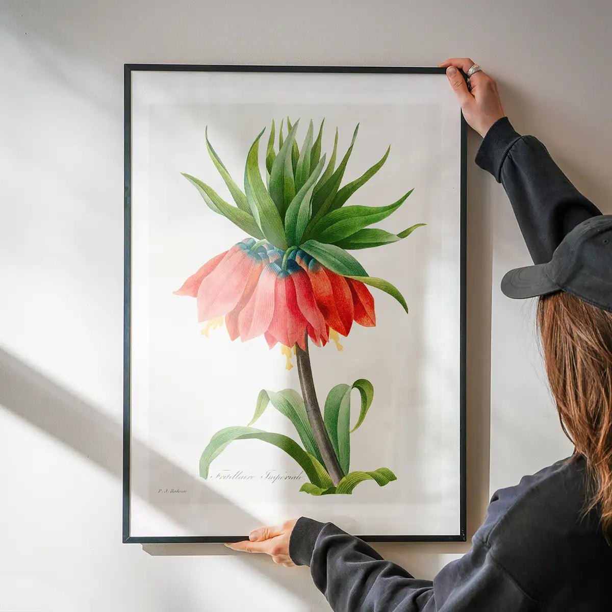 Crown Imperial Fritillary Flower Print
