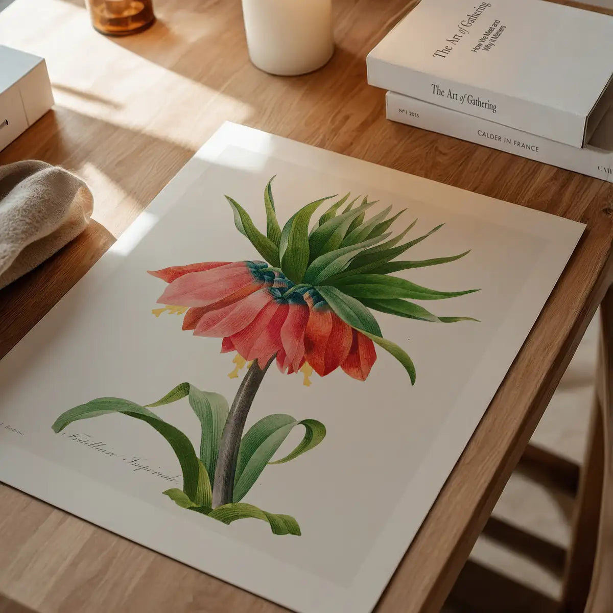 Crown Imperial Fritillary Flower Print