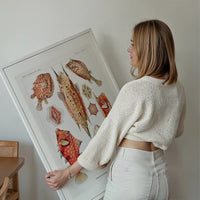 Fish & Sea Creatures Vintage Illustration Print