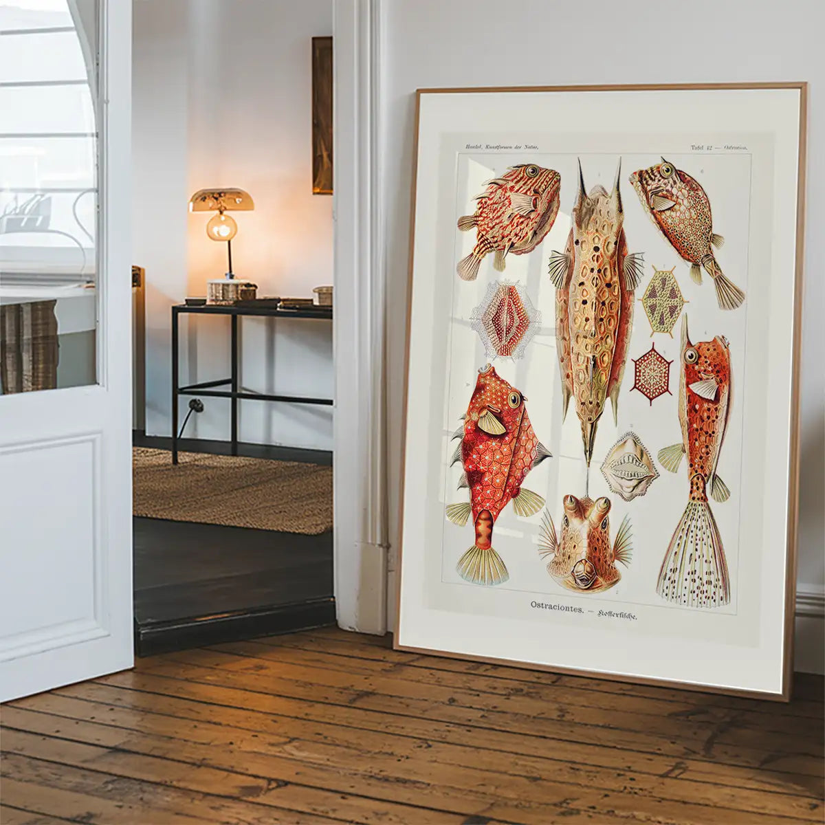 Fish & Sea Creatures Vintage Illustration Print