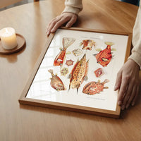 Fish & Sea Creatures Vintage Illustration Print