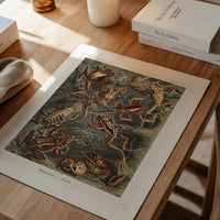 Frogs Illustration by Ernst Haeckel Print