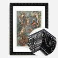 Black Ornate Frame