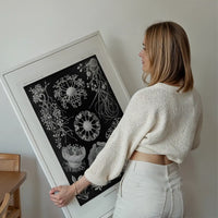 Fungi Illustration Print