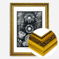 Gold Ornate Frame