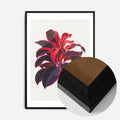 Black Wood Frame