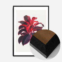 Hand drawn Hawaiian Ti plant print