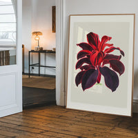 Hand drawn Hawaiian Ti plant print