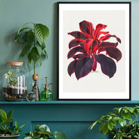 Hand drawn Hawaiian Ti plant print