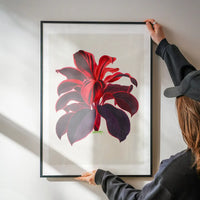 Hand drawn Hawaiian Ti plant print