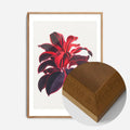 Oak Wood Frame