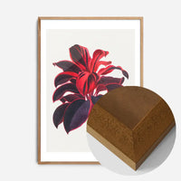 Hand drawn Hawaiian Ti plant print