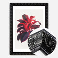Black Ornate Frame