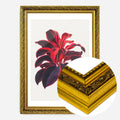 Gold Ornate Frame
