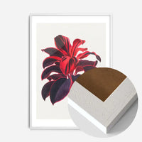 Hand drawn Hawaiian Ti plant print