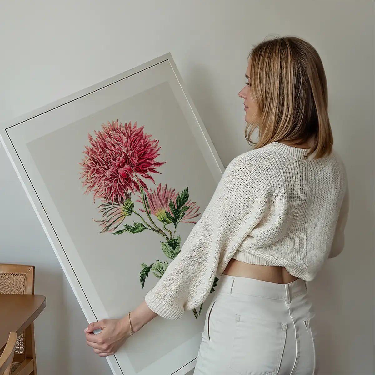 Hand drawn pink Chrysanthemum Illustration