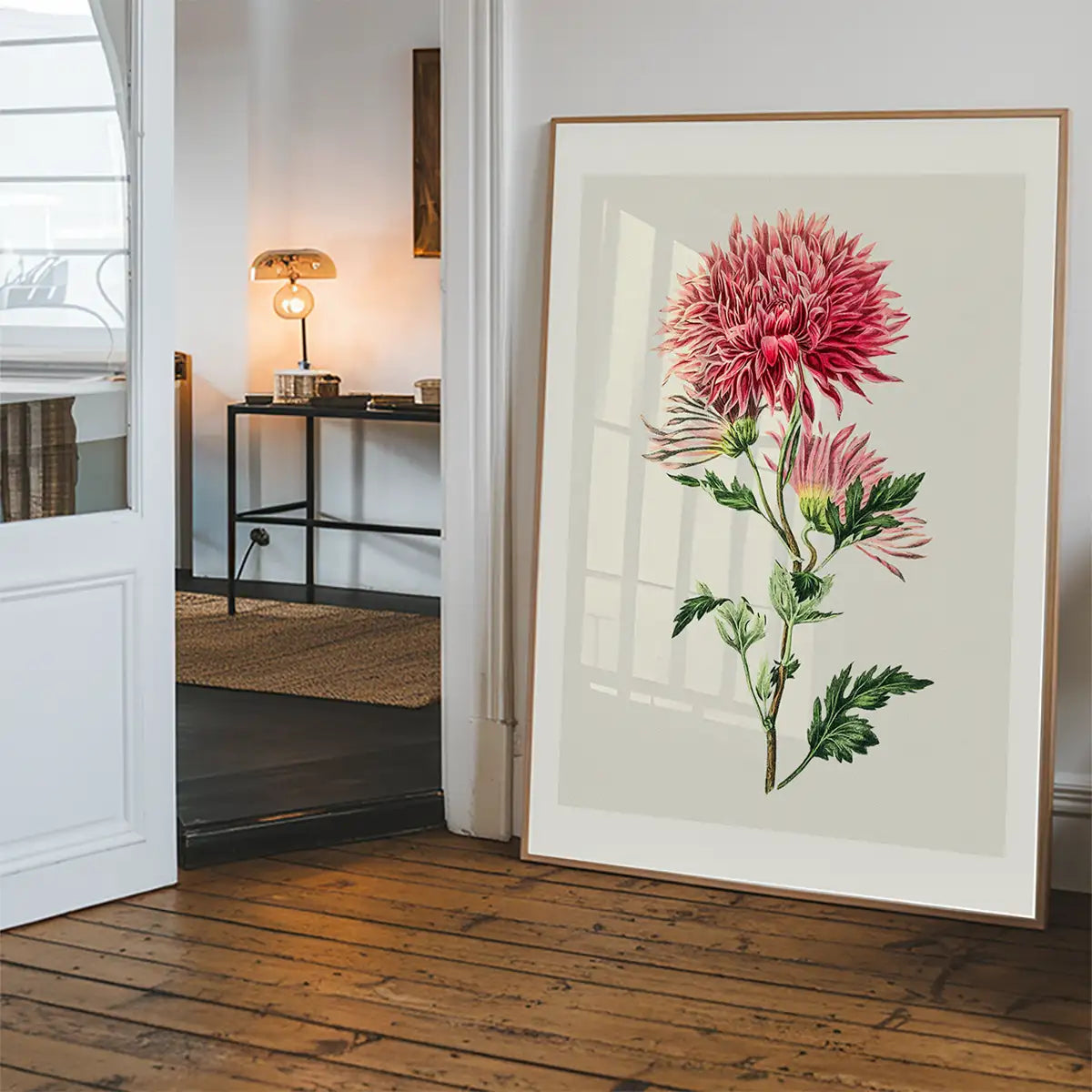 Hand drawn pink Chrysanthemum Illustration