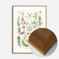 Oak Wood Frame