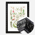 Black Ornate Frame