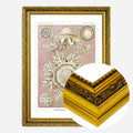 Gold Ornate Frame