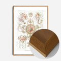Oak Wood Frame