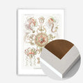White Wood Frame