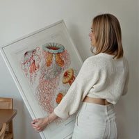 Jellyfish Illustration Vintage Print