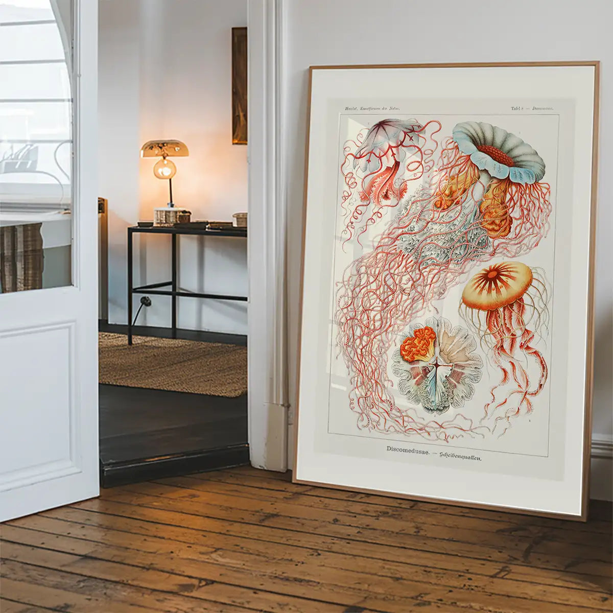 Jellyfish Illustration Vintage Print