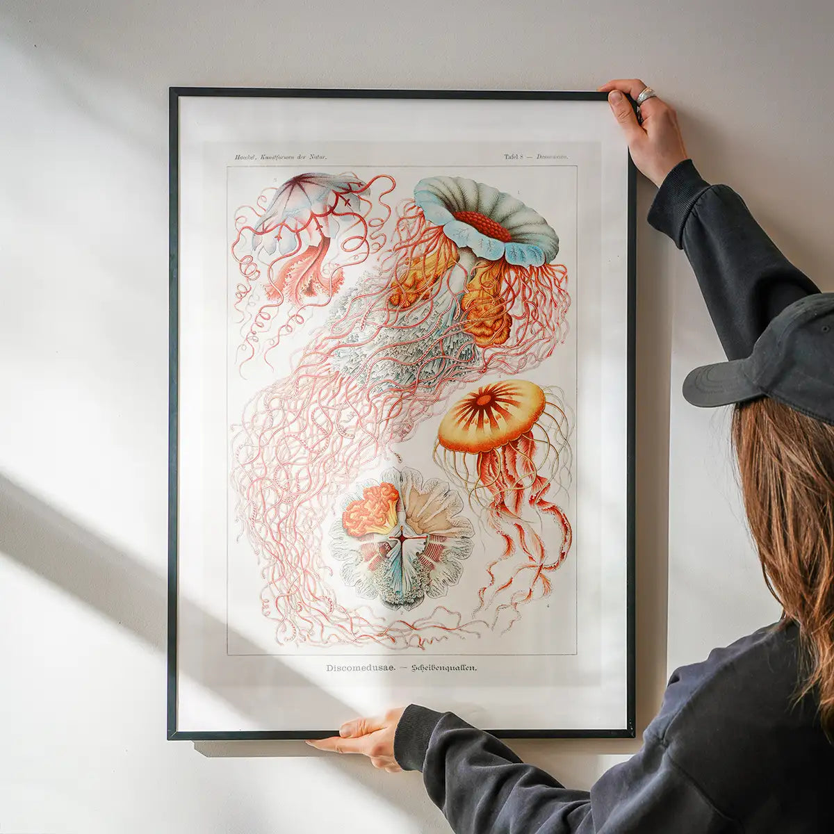 Jellyfish Illustration Vintage Print