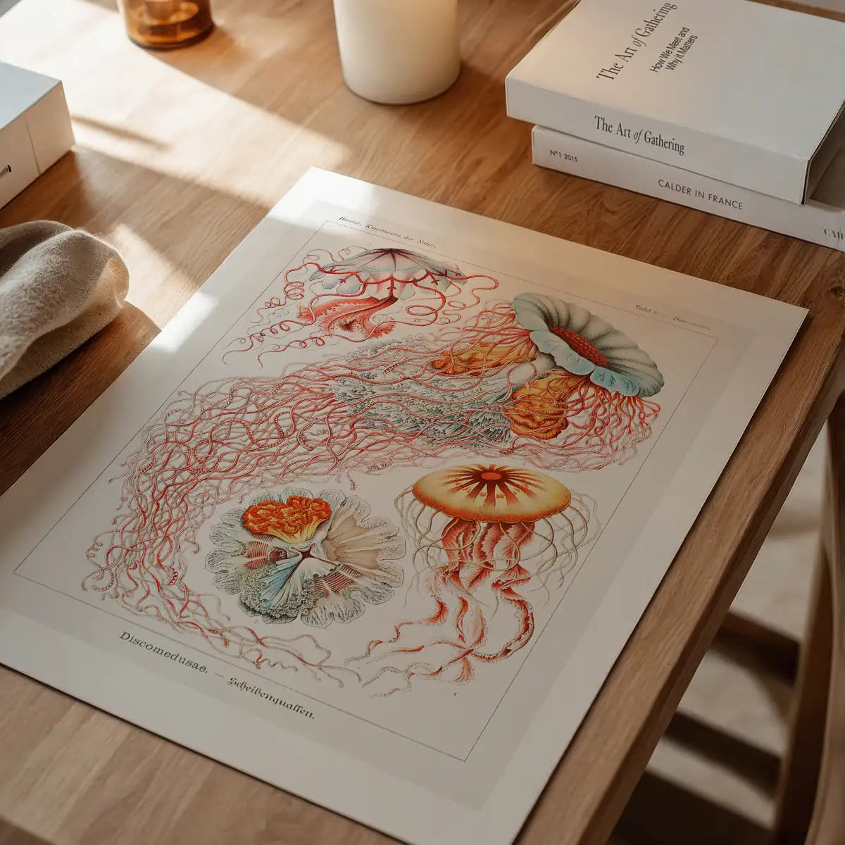 Jellyfish Illustration Vintage Print