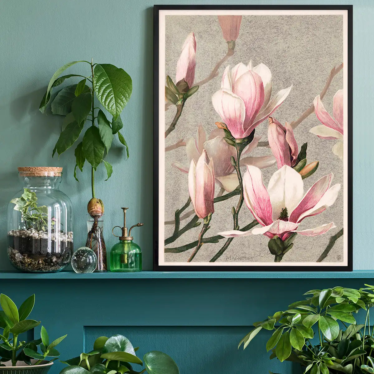 Magnolia by l Prang Flower Print