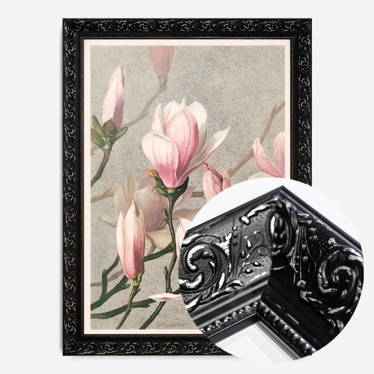 Magnolia by l Prang Flower Print
