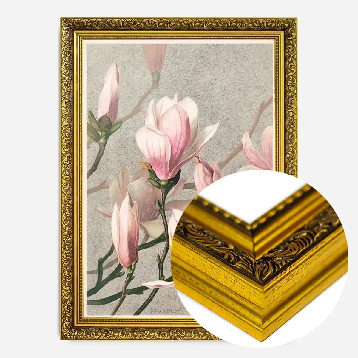 Magnolia by l Prang Flower Print